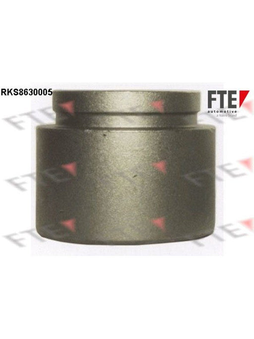 Valeo FTE Brake Caliper Piston 9313243 Brake Caliper Replacement Components Valeo - Micks Gone Bush