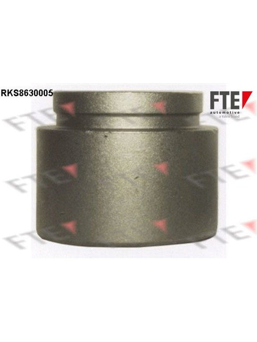 Valeo FTE Brake Caliper Piston 9313243 Brake Caliper Replacement Components Valeo - Micks Gone Bush
