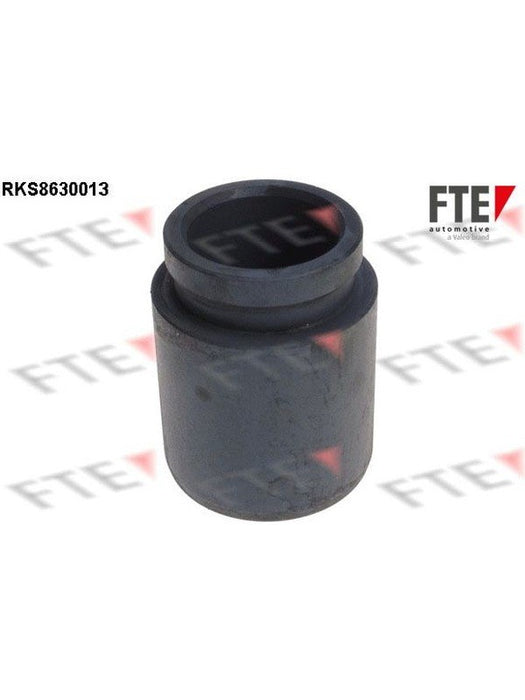 Valeo FTE Brake Caliper Piston 9313249 Brake Caliper Replacement Components Valeo - Micks Gone Bush