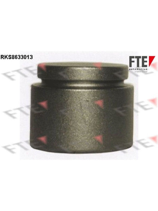 Valeo FTE Brake Caliper Piston 9313270 Brake Caliper Replacement Components Valeo - Micks Gone Bush