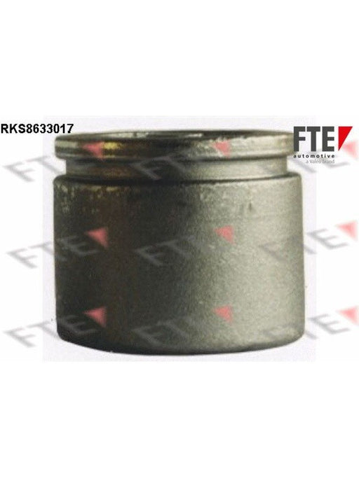 Valeo FTE Brake Caliper Piston 9313272 Brake Caliper Replacement Components Valeo - Micks Gone Bush