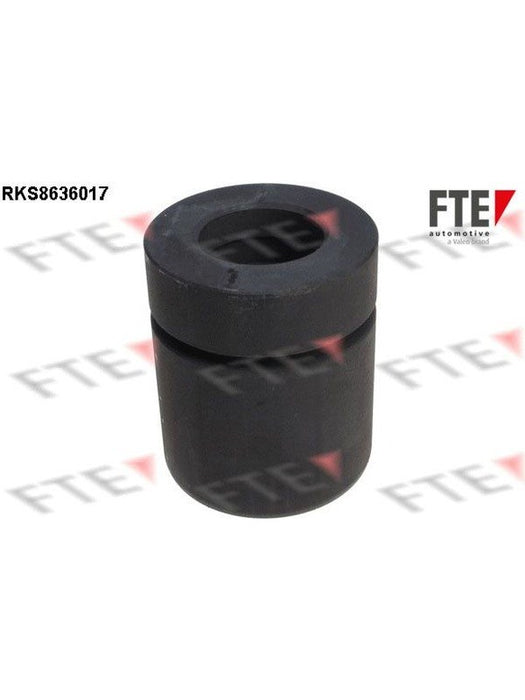 Valeo FTE Brake Caliper Piston 9313333 Brake Caliper Replacement Components Valeo - Micks Gone Bush