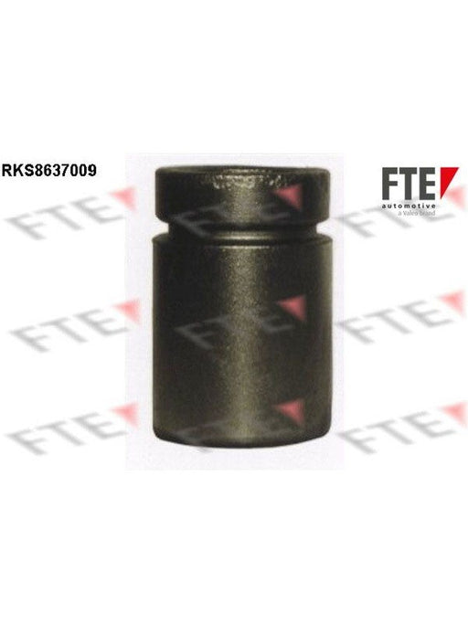 Valeo FTE Brake Caliper Piston 9313351 Brake Caliper Replacement Components Valeo - Micks Gone Bush