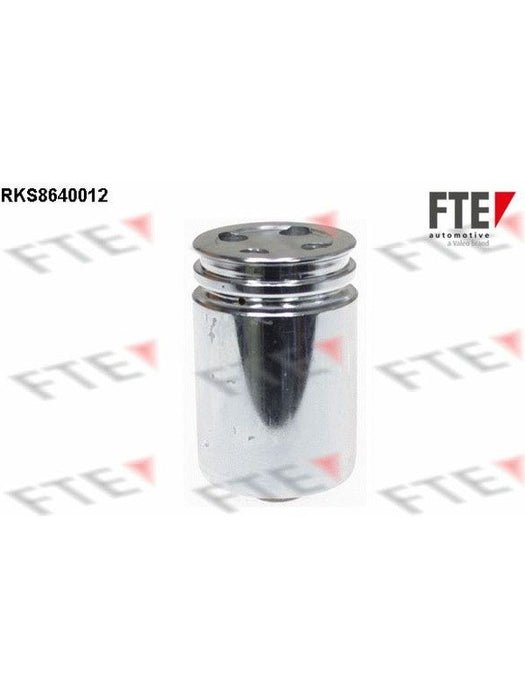 Valeo FTE Brake Caliper Piston 9313370 Brake Caliper Replacement Components Valeo - Micks Gone Bush