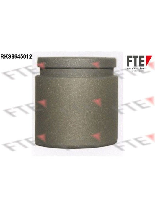 Valeo FTE Brake Caliper Piston 9313388 Brake Caliper Replacement Components Valeo - Micks Gone Bush