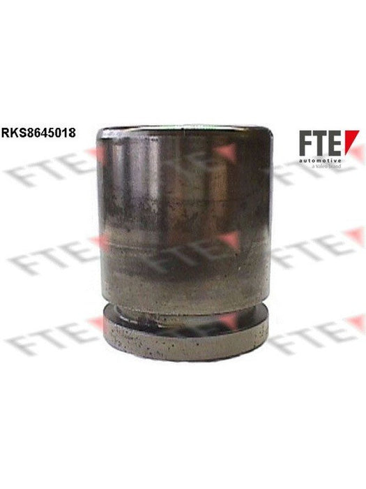 Valeo FTE Brake Caliper Piston 9313393 Brake Caliper Replacement Components Valeo - Micks Gone Bush