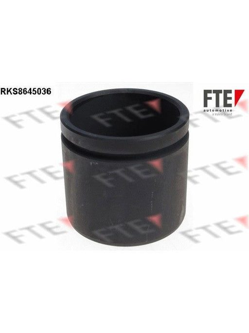 Valeo FTE Brake Caliper Piston 9313410 Brake Caliper Replacement Components Valeo - Micks Gone Bush