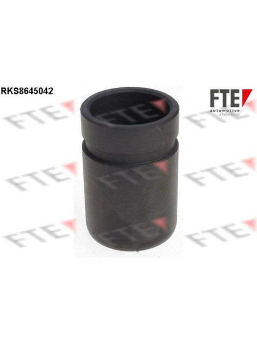 Valeo FTE Brake Caliper Piston 9313413 Brake Caliper Replacement Components Valeo - Micks Gone Bush