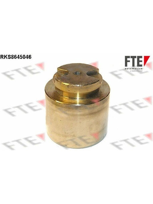 Valeo FTE Brake Caliper Piston 9313417 Brake Caliper Replacement Components Valeo - Micks Gone Bush