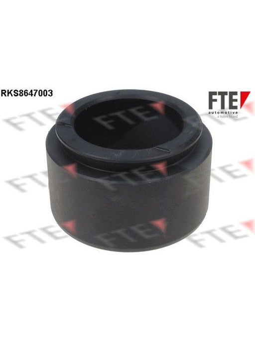 Valeo FTE Brake Caliper Piston 9313428 Brake Caliper Replacement Components Valeo - Micks Gone Bush