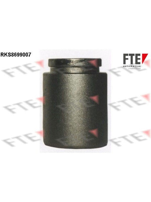 Valeo FTE Brake Caliper Piston 9313477 Brake Caliper Replacement Components Valeo - Micks Gone Bush