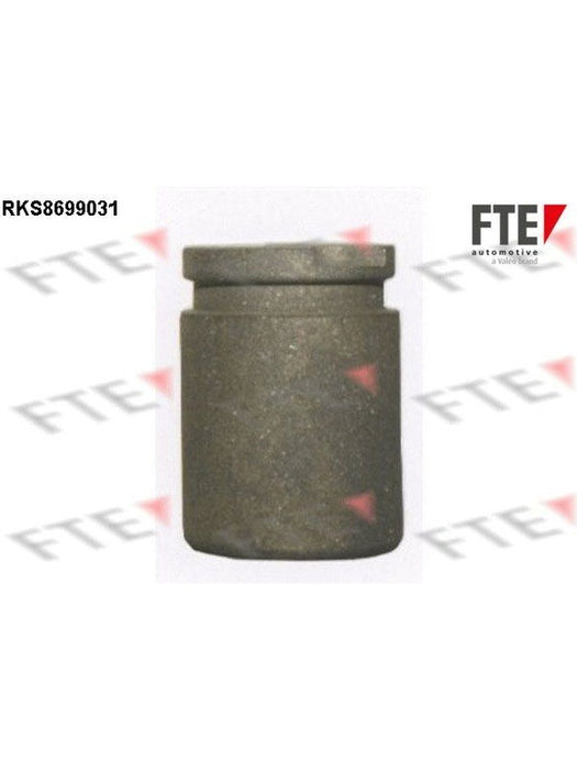 Valeo FTE Brake Caliper Piston 9313493 Brake Caliper Replacement Components Valeo - Micks Gone Bush