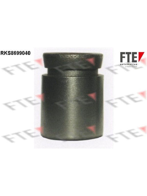 Valeo FTE Brake Caliper Piston 9313498 Brake Caliper Replacement Components Valeo - Micks Gone Bush