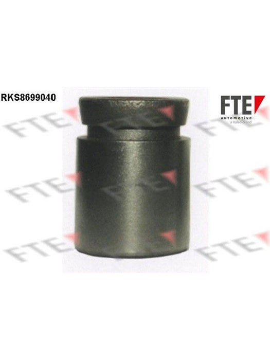 Valeo FTE Brake Caliper Piston 9313498 Brake Caliper Replacement Components Valeo - Micks Gone Bush