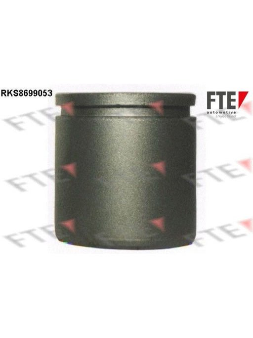 Valeo FTE Brake Caliper Piston 9313507 Brake Caliper Replacement Components Valeo - Micks Gone Bush