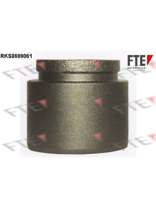 Valeo FTE Brake Caliper Piston 9313513 Brake Caliper Replacement Components Valeo - Micks Gone Bush