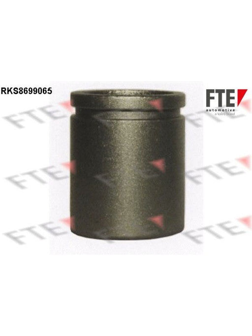 Valeo FTE Brake Caliper Piston 9313516 Brake Caliper Replacement Components Valeo - Micks Gone Bush