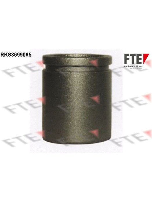 Valeo FTE Brake Caliper Piston 9313516 Brake Caliper Replacement Components Valeo - Micks Gone Bush