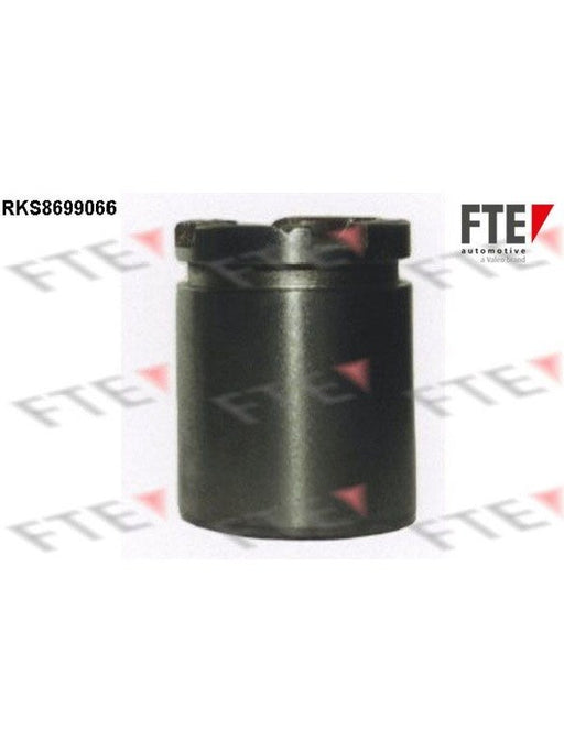 Valeo FTE Brake Caliper Piston 9313517 Brake Caliper Replacement Components Valeo - Micks Gone Bush