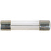 OEX Glass Fuse 3AG 10A 10 Pack ACX1522BL FUSE OEX - Micks Gone Bush