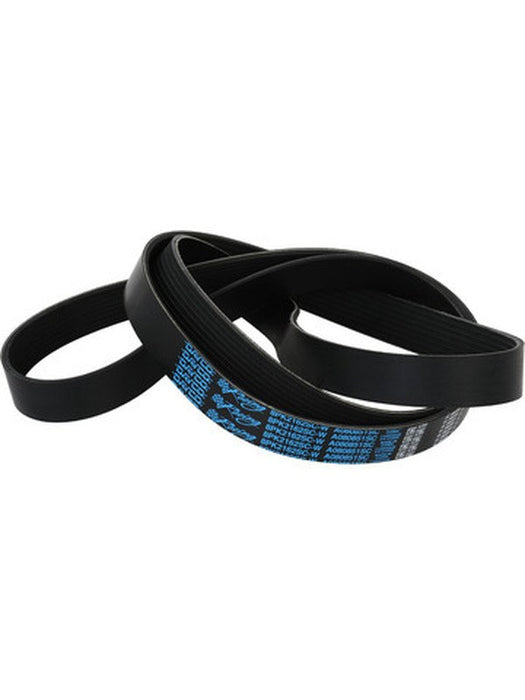 Dayco Supercharger Drive Belt 85.118in 8-Rib Fits Corvette 15-19 A080851SC Supercharger Drive Belts Dayco - Micks Gone Bush