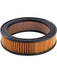 Ryco Air Filter A117X Ryco - Micks Gone Bush
