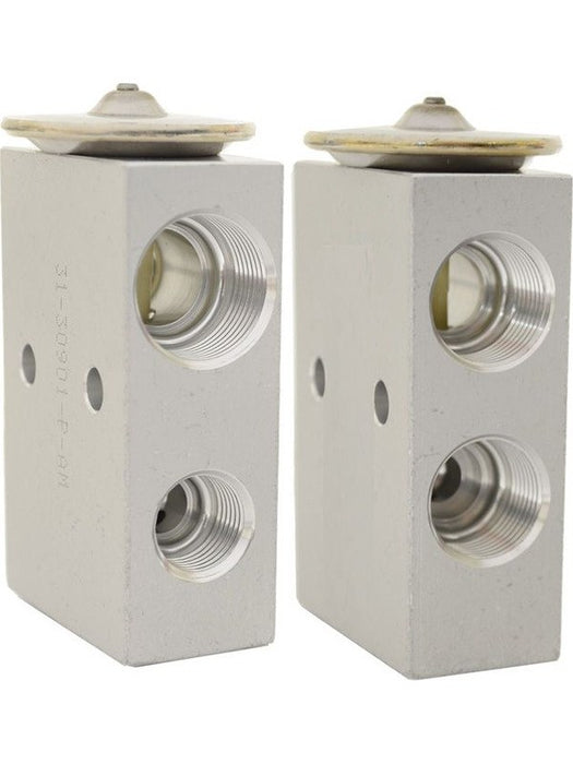 Reddot TX Valve Fits Red Dot R-2000 R-5045 R-6000 R-7830 A30-71R8301 Others Reddot - Micks Gone Bush