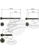 Aunger Cylinder Head Bolt Set Fits Holden Ls1 Geniii V8 Ohv AHBS0622 Aunger - Micks Gone Bush
