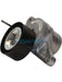 Dayco Automatic Belt Tensioner APV3179 Dayco - Micks Gone Bush