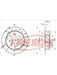 Fremax Brake Disc Rear Pair BD-1703 Fremax - Micks Gone Bush