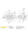 Fremax Brake Rotor (Pair) Rear BD-2049 Fremax - Micks Gone Bush