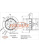 Fremax Brake Rotor (Pair) Rear BD-2913 Fremax - Micks Gone Bush