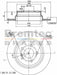 Bremtec Euro-Line Disc Brake Rotor (Pair) 300mm BDR16330EL Discs Bremtec - Micks Gone Bush