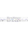 Bremtec Euroline Brake Wear Sensor BTS239 Bremtec - Micks Gone Bush