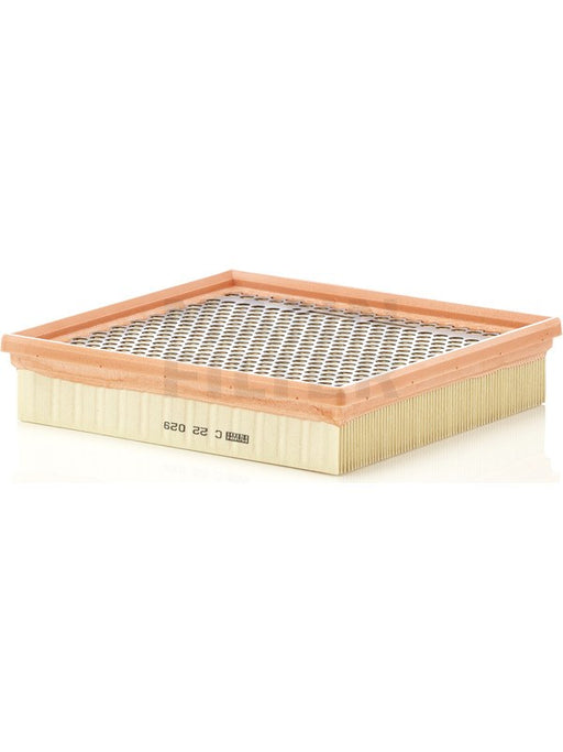 Mann Air Filter C22029 Mann - Micks Gone Bush
