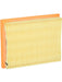 Fram Air Filter CA5496 Fram - Micks Gone Bush