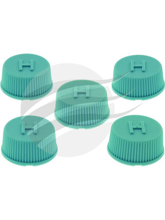 Jayair Cap High Side Valve OEM Type Pack 5 CP0196 Jayair - Micks Gone Bush