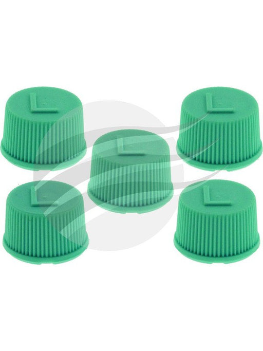 Jayair Cap Low Side Valve OEM Type Pack 5 CP0294 Jayair - Micks Gone Bush