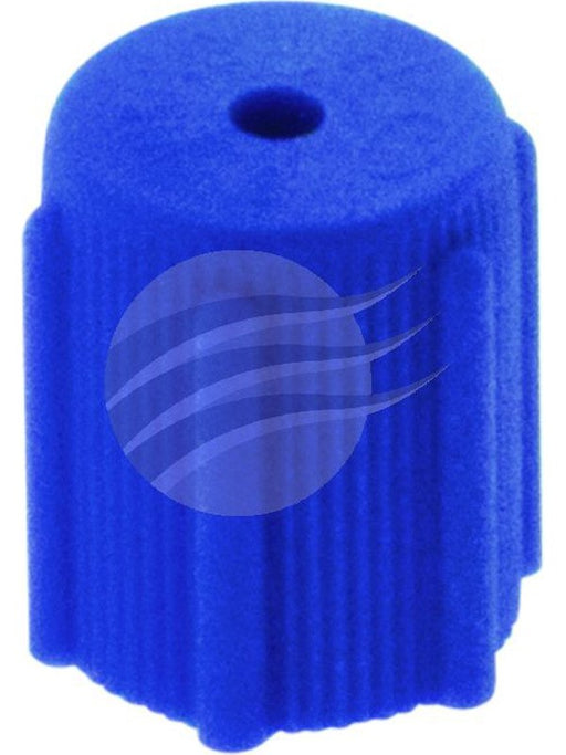 Jayair Cap Valve R134A Blue Each Mazcp1051 CP1051 Jayair - Micks Gone Bush