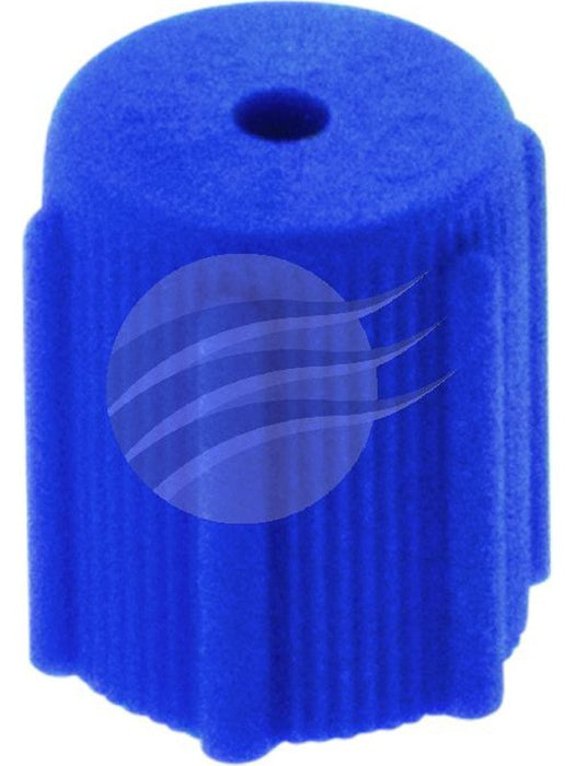 Jayair Cap Valve R134A Blue Each Mazcp1051 CP1051 Jayair - Micks Gone Bush