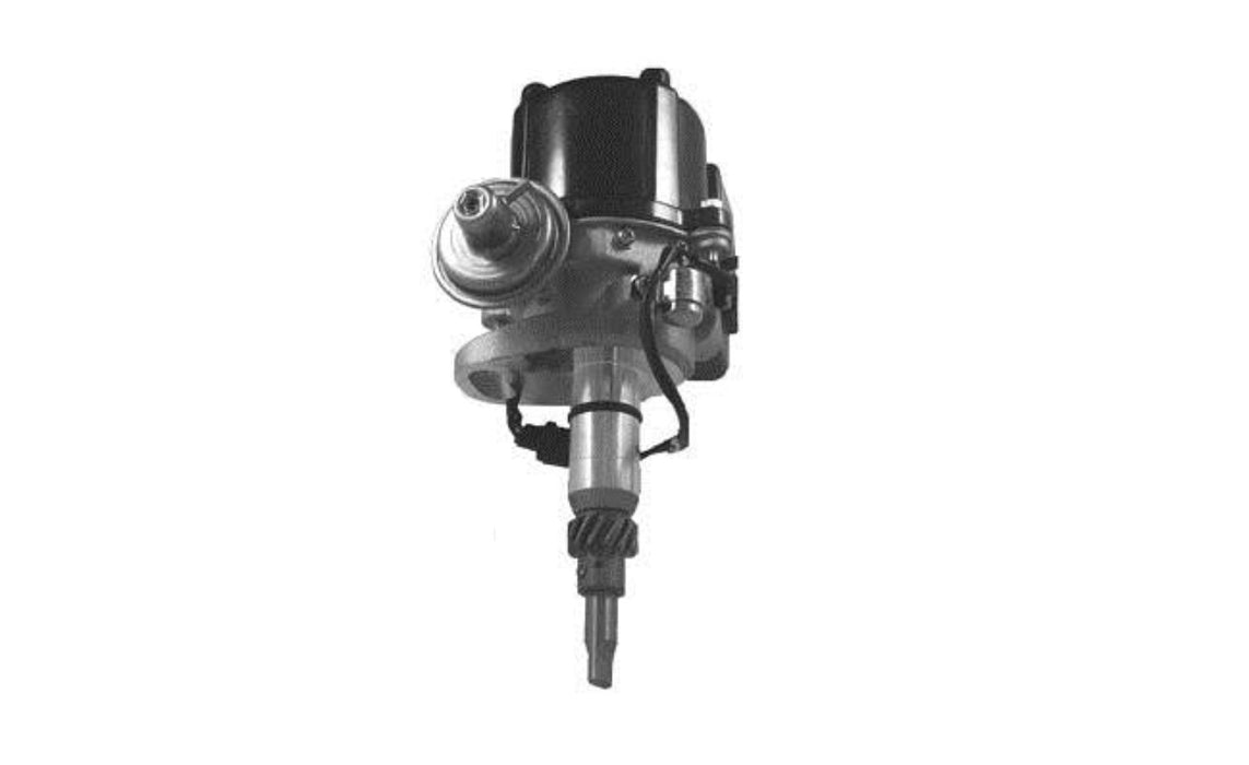 RAE Ignition Distributor DJ1010N RAE - Micks Gone Bush