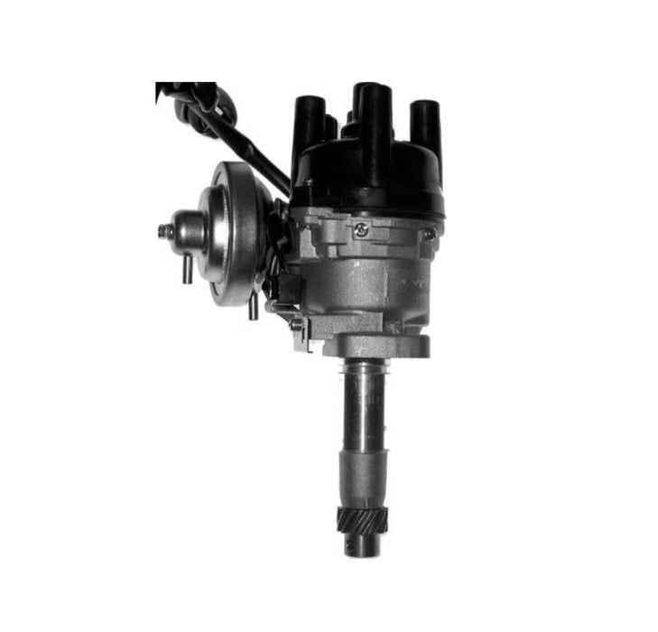 RAE Ignition Distributor DJ67771N RAE - Micks Gone Bush