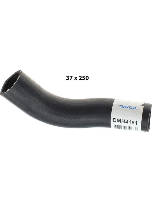 Dayco Moulded Radiator Hose DMH4181 Miscellanous Hoses Dayco - Micks Gone Bush