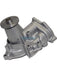 Dayco Automotive Engine Water Pump DP593 Dayco - Micks Gone Bush