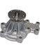 Dayco Automotive Engine Water Pump DP746 Dayco - Micks Gone Bush