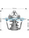 Dayco Thermostat DT14A Dayco - Micks Gone Bush