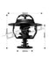 Dayco Thermostat DT56A Dayco - Micks Gone Bush