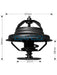 Dayco Thermostat DT62B Dayco - Micks Gone Bush