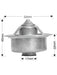 Dayco Thermostat DT66A Dayco - Micks Gone Bush