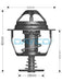 Dayco Thermostat DT79A Dayco - Micks Gone Bush